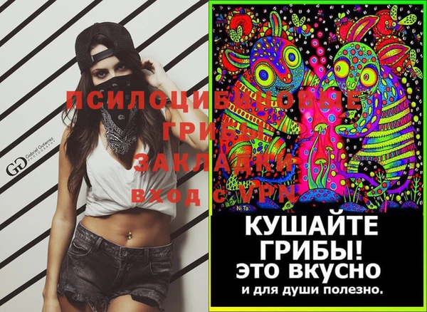 2c-b Мегион