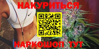 крисы Камышлов