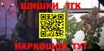 крисы Камышлов