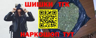 крисы Камышлов