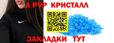 крисы Камышлов