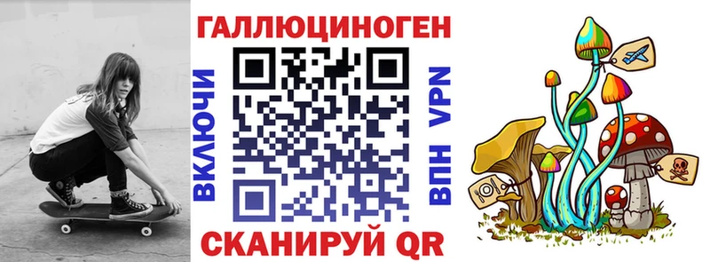 даркнет сайт  Петрозаводск  KRAKEN ссылки  Галлюциногенные грибы прущие грибы 