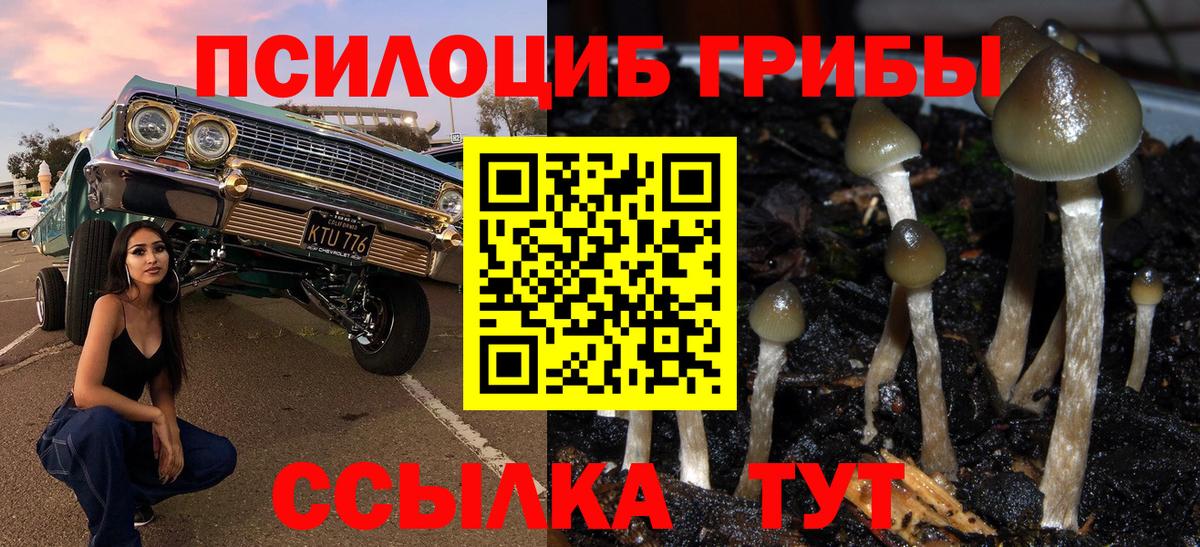Галлюциногенные грибы прущие грибы Петрозаводск