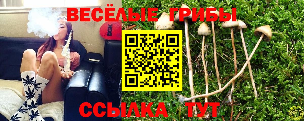 Псилоцибиновые грибы Psilocybine cubensis  Вход с VPN  дарнет шоп  Петрозаводск 